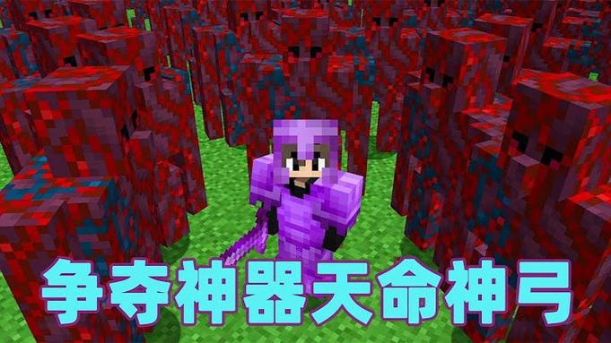 MC猎人雷吉神器