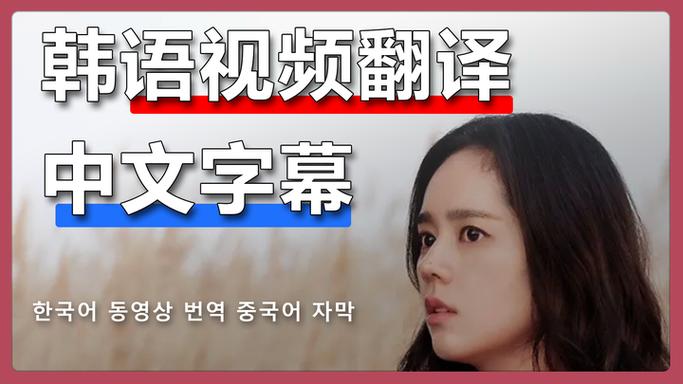 字幕翻译成中文