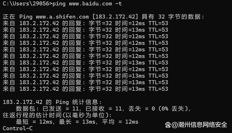linux ping命令