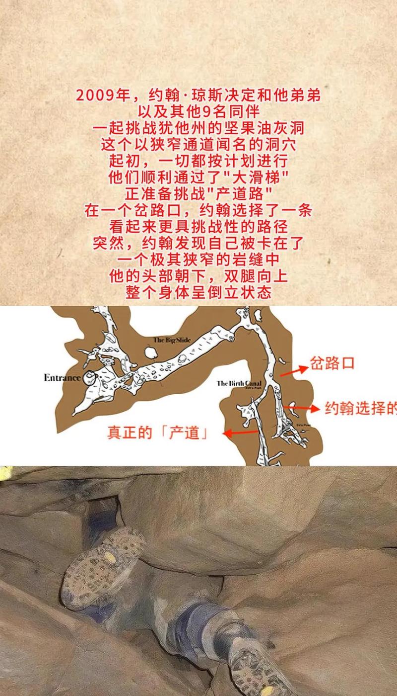 赛尔号弗里德