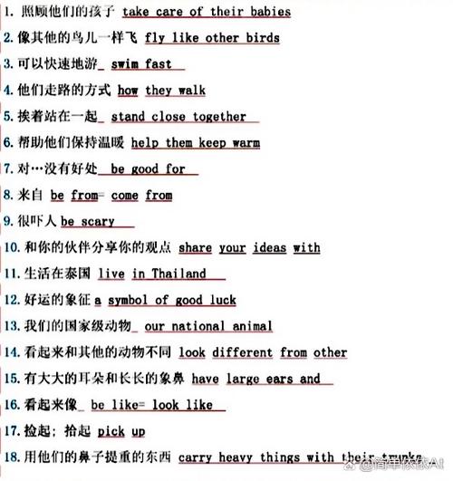 walk短语归纳初中