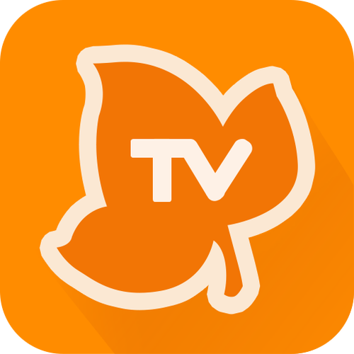 蜂蜜TV可以看电视直播枫