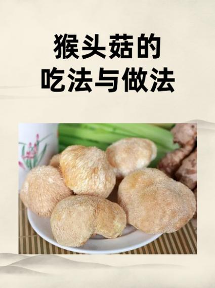 猴头菇怎么煲汤