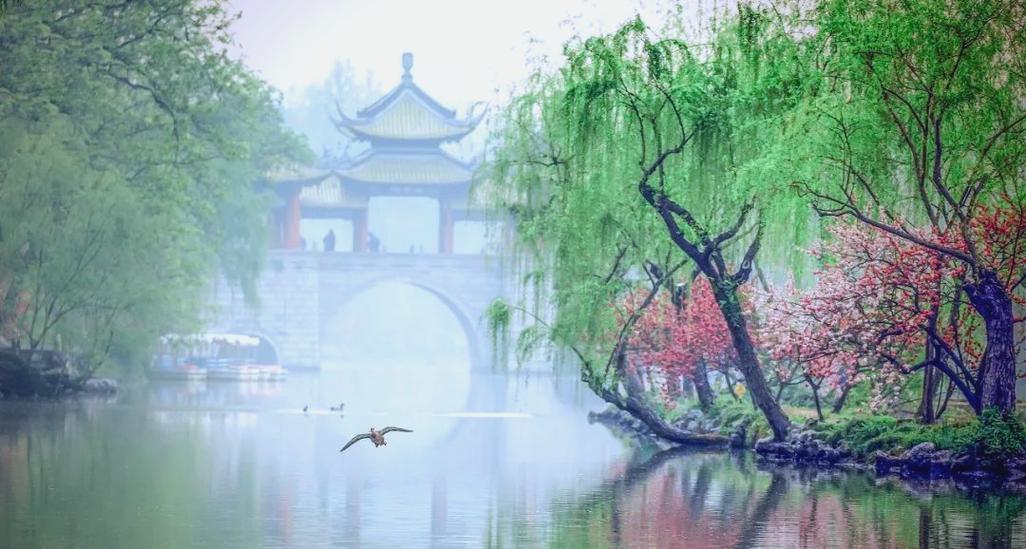二月江南莺乱飞
