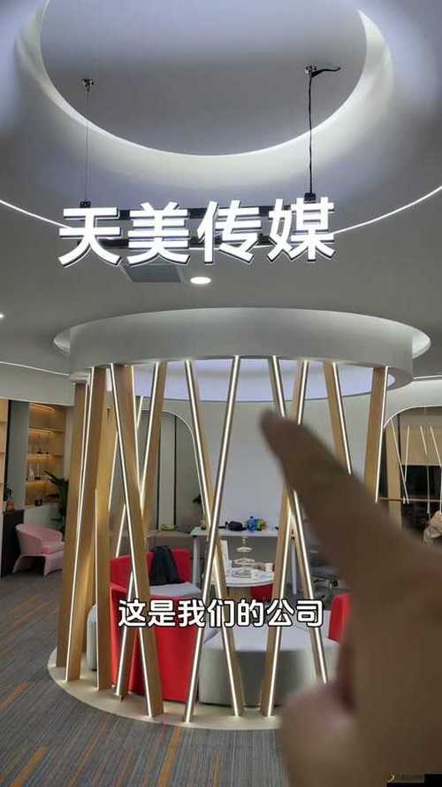 山东天美影业有限公司