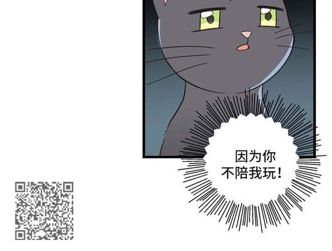 亲爱的喵君漫画免费第四话