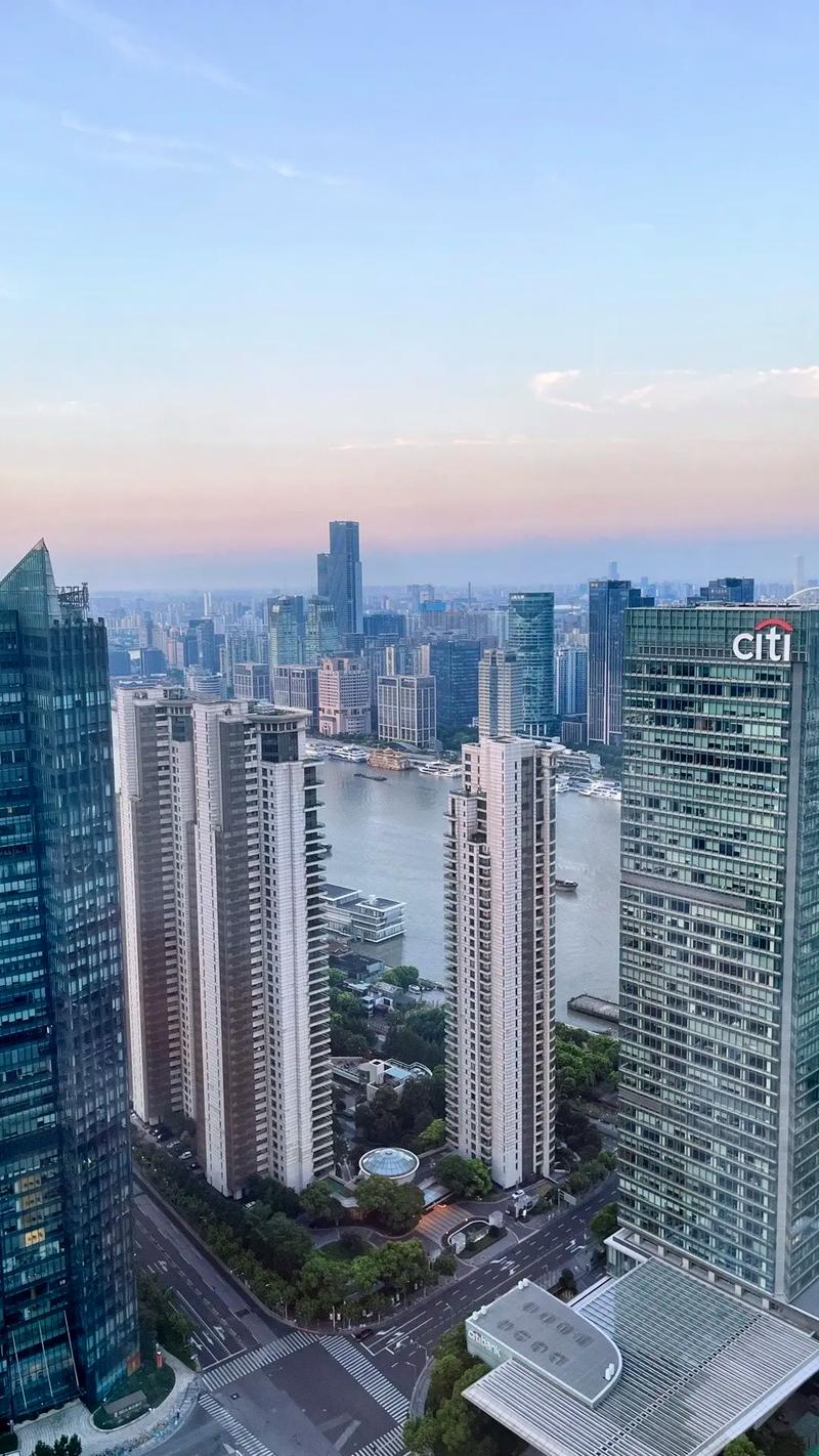 都市枭医秦昊 都市枭医秦昊