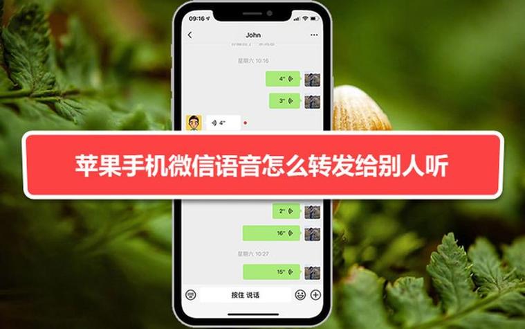 苹果微信声音