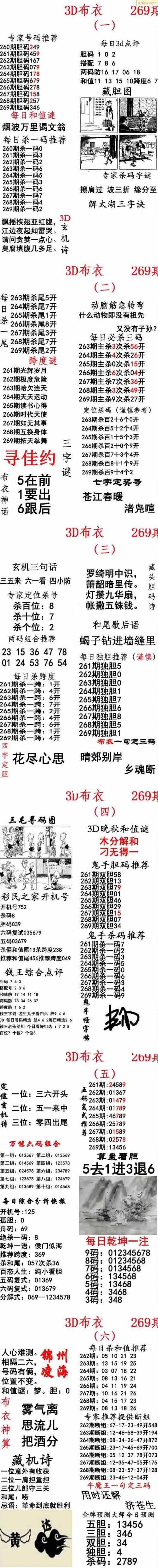 布衣电子报一图片