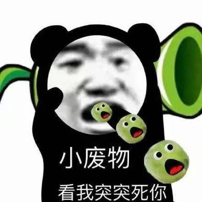 搞笑的熊猫表情包叫什么名字