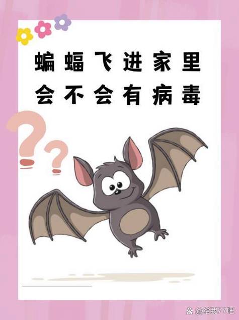 蝙蝠为什么不怕病毒