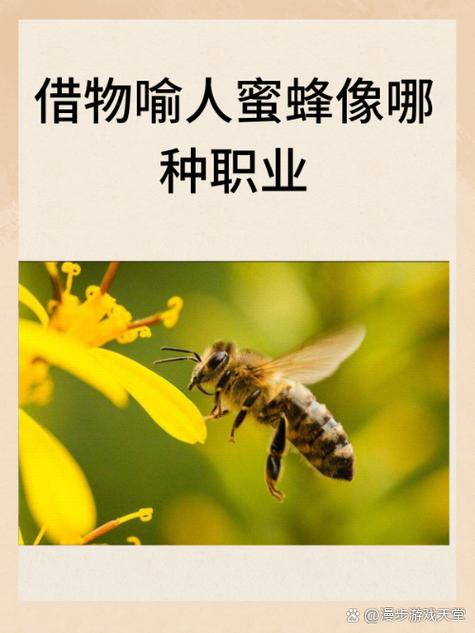 蜜蜂的职业