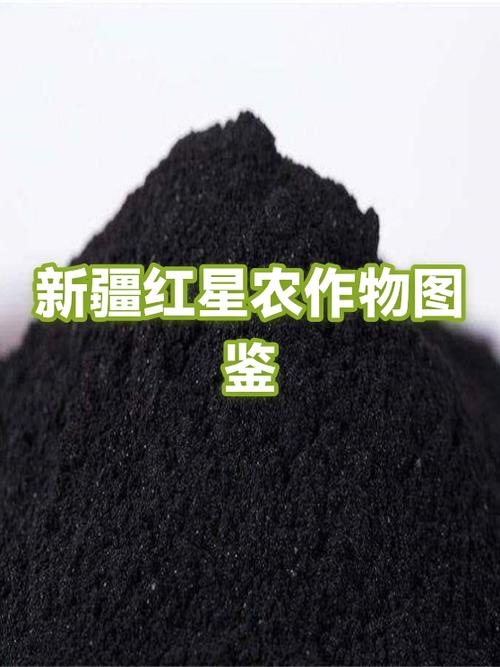 红色五角星图片大全