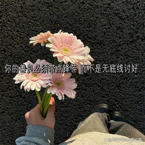 2026最精美句子