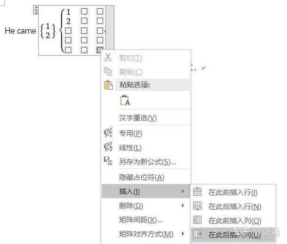 word表格里加大括号截图2