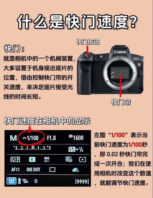 佳能快门次数怎么查截图3