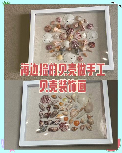 哔哩哔哩贝壳有什么用