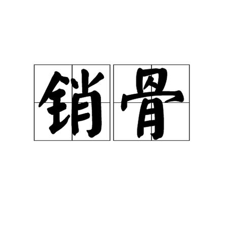 销是什么意思