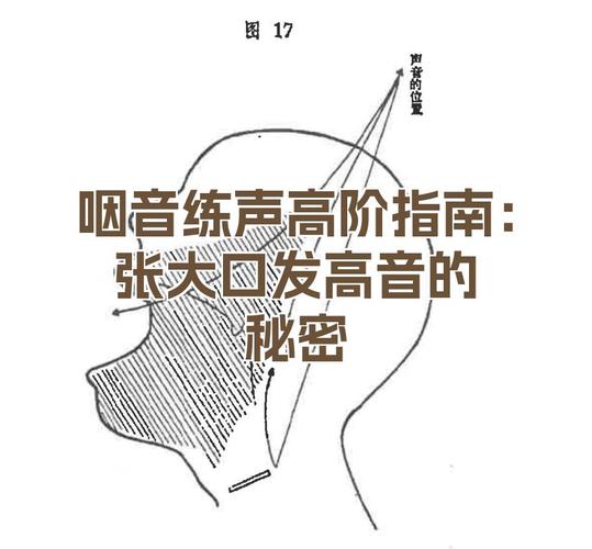 什么是硬起音