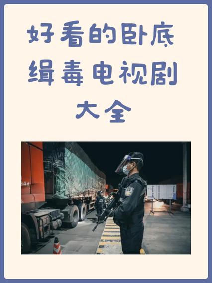 警察卧底缉毒电视剧