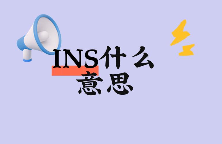 ins的网络意思