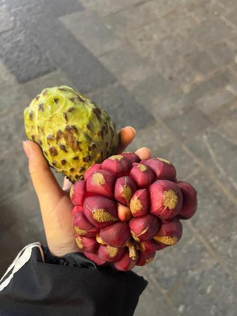 四季水果的特点