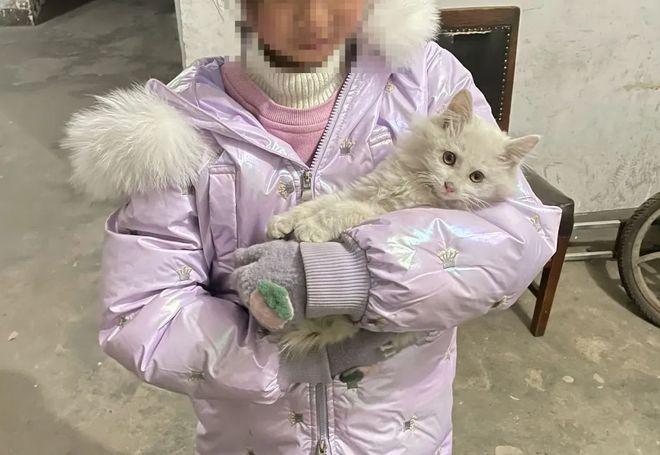 她的小软猫
