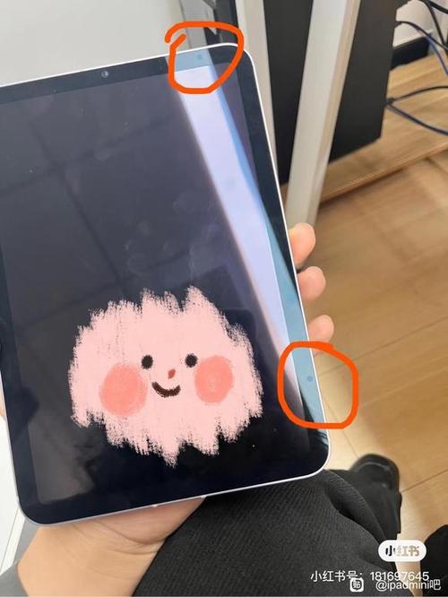 iPad屏幕多了两个圆点