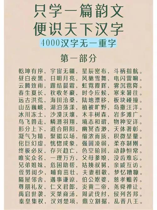 captura怎么设置中文
