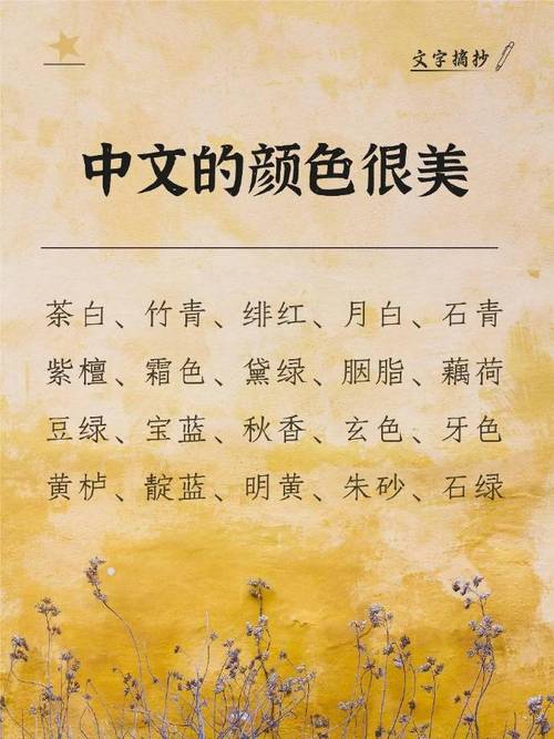 captura怎么设置中文截图3