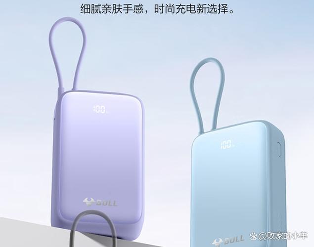 真假公牛充电宝