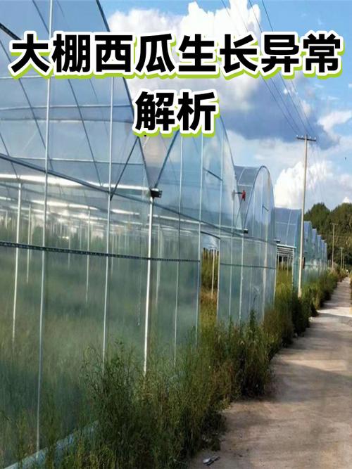 西瓜视频异常怎么恢复