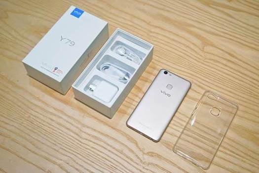 VIVO Y79