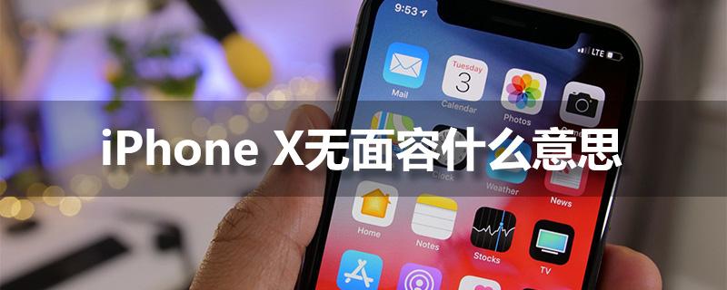 iphonex无锁无面容什么意思