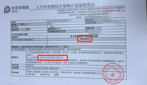 保险单丢了还能理赔吗
