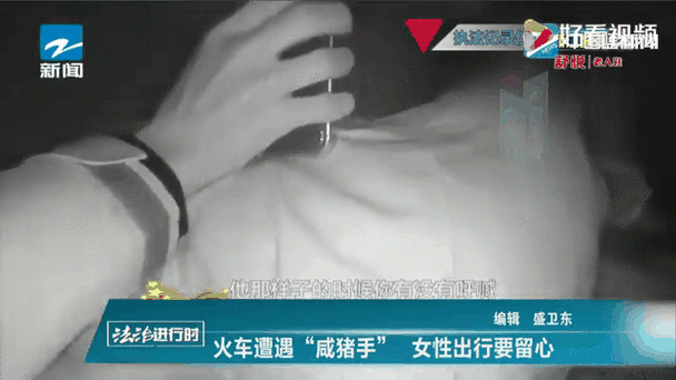 列车咸猪手3