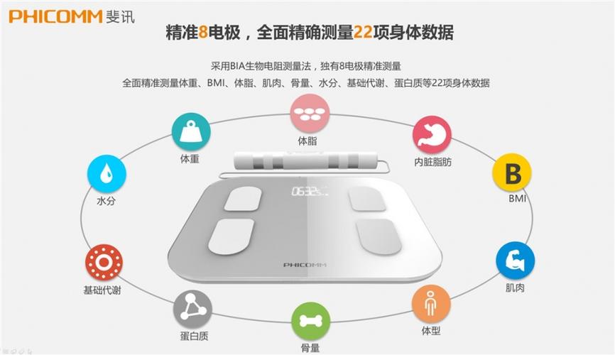 斐讯健康体脂秤app下载官方s7p