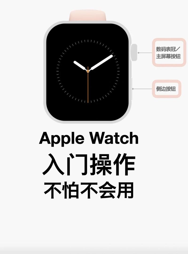 apple watch怎么退出程序