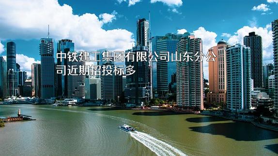 中铁建设集团有限公司招标