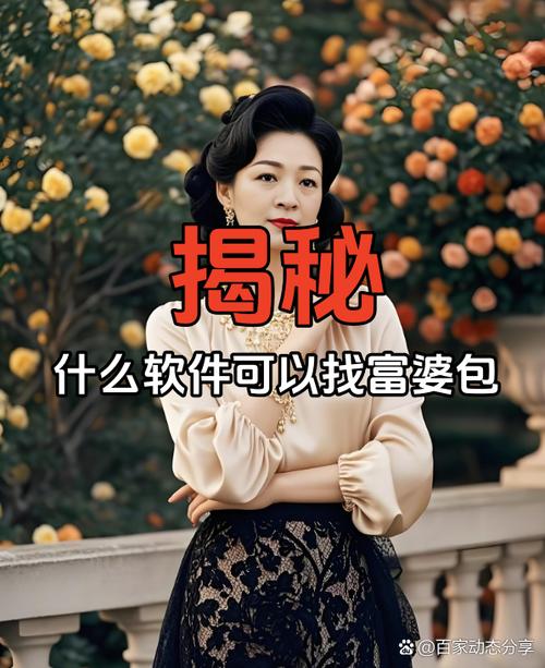 什么软件可以找富婆包