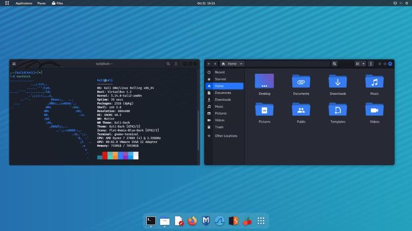 debian 迅雷