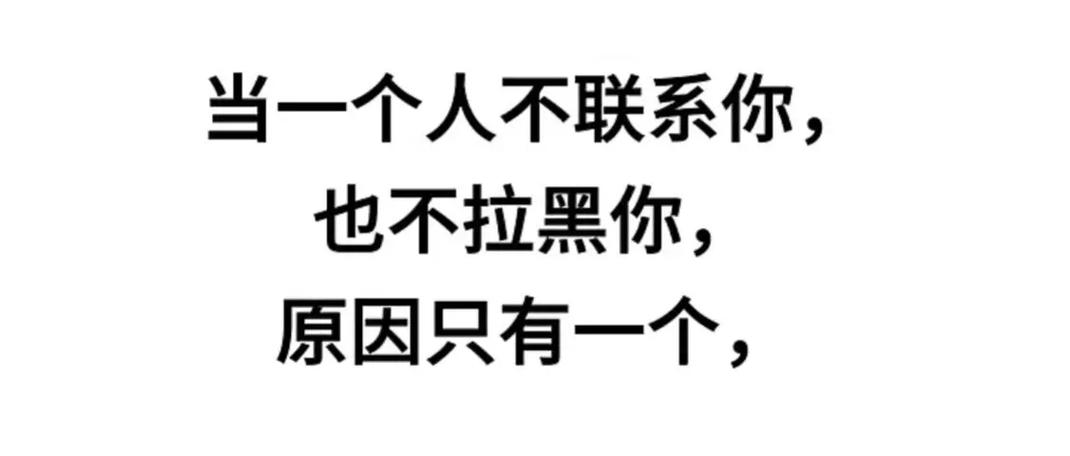 不理你也不拉黑你的人
