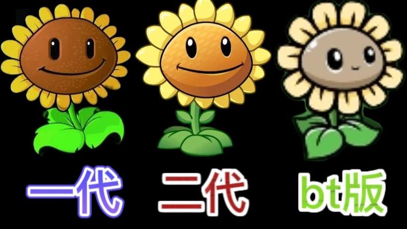 向日葵对方版本不支持
