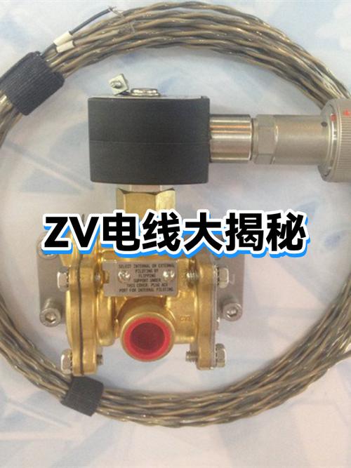 zv代表什么意思