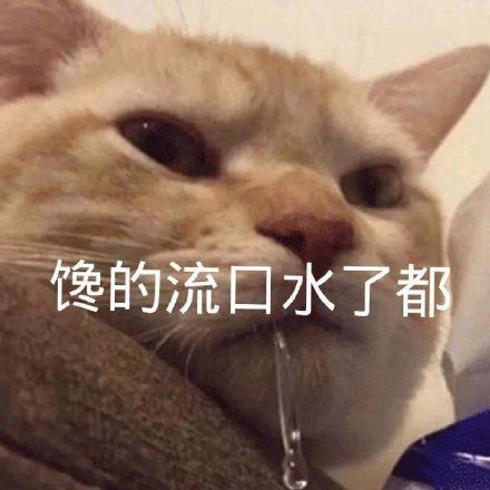 馋人表情包