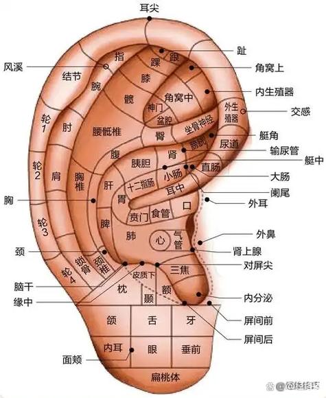 喷嚏图卦8小时