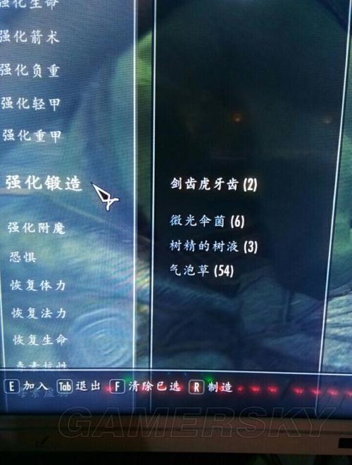 老滚5炼金强化附魔