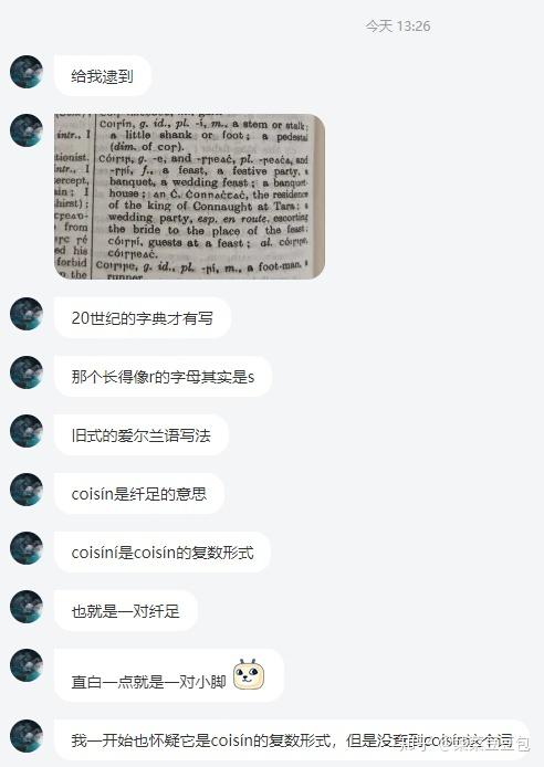 coisini爱尔兰语翻译