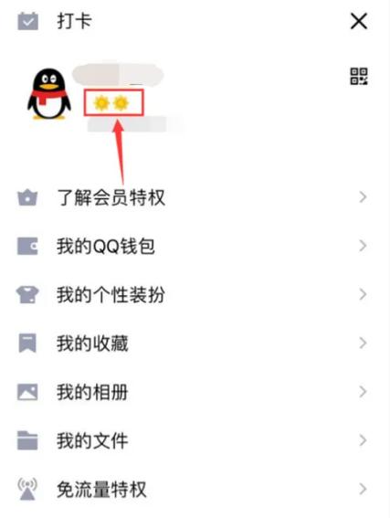 qq显示最近登录是多久图标