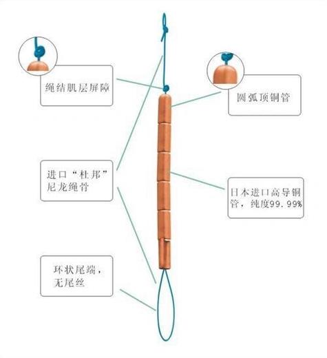 吉尼环形状图片